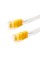 Патч Корд SHIP Cat.5e UTP RJ-45 1 м F3025WH0100-P