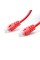 Патч Корд SHIP Cat.6 UTP RJ-45 3 м S6025RD0300-P