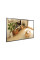 Профессиональный дисплей Hikvision DS-D6043UN-B 43